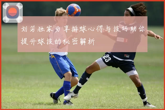 刘芳独家分享排球心得与技巧助你提升球技的秘密解析