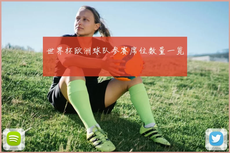 世界杯欧洲球队参赛席位数量一览