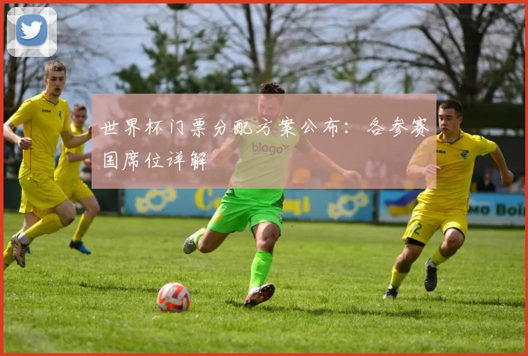 世界杯门票分配方案公布：各参赛国席位详解
