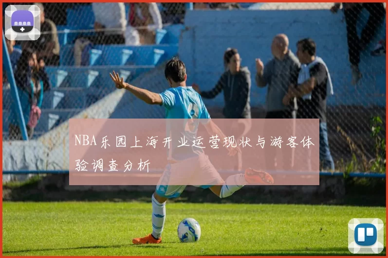 NBA乐园上海开业运营现状与游客体验调查分析