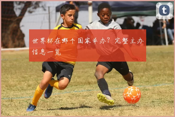 世界杯在哪个国家举办？完整主办信息一览