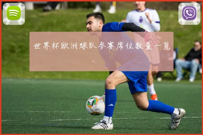 世界杯欧洲球队参赛席位数量一览