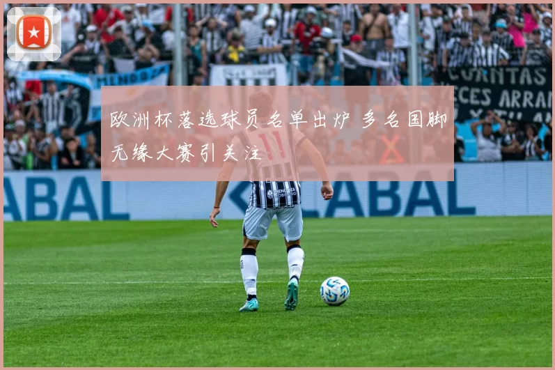 欧洲杯落选球员名单出炉 多名国脚无缘大赛引关注