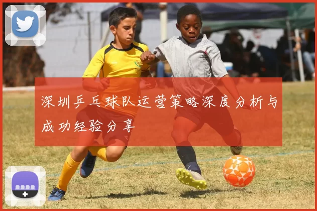 深圳乒乓球队运营策略深度分析与成功经验分享