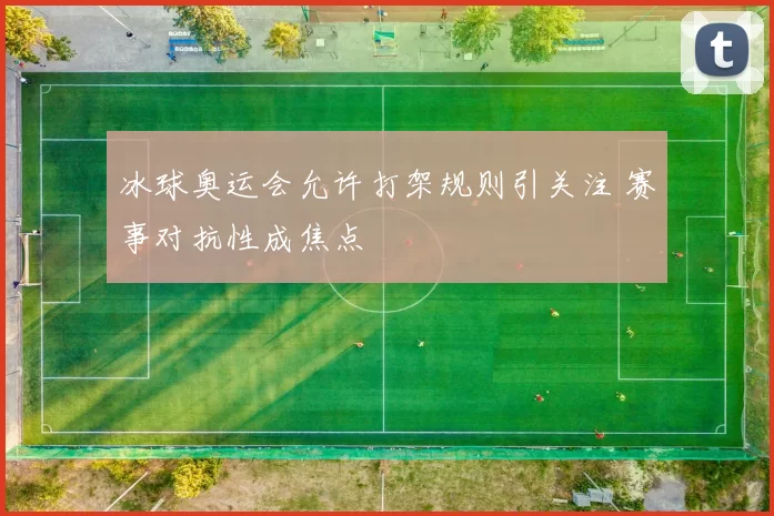 冰球奥运会允许打架规则引关注 赛事对抗性成焦点