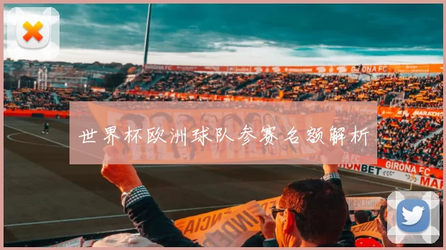 世界杯欧洲球队参赛名额解析