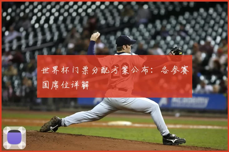 世界杯门票分配方案公布：各参赛国席位详解