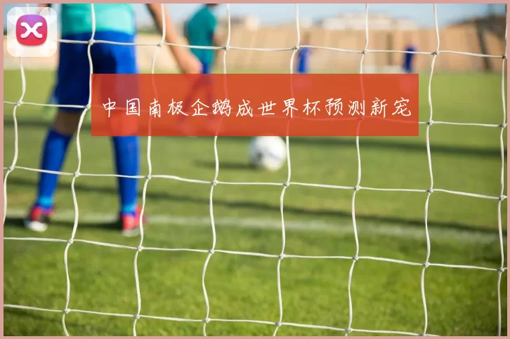 中国南极企鹅成世界杯预测新宠