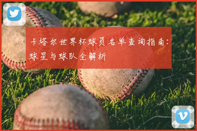 卡塔尔世界杯球员名单查询指南：球星与球队全解析