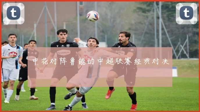 申花对阵鲁能的中超联赛经典对决