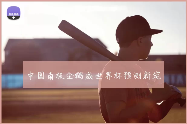 中国南极企鹅成世界杯预测新宠